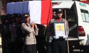 d61813f3-b5ba-45dd-a63e-b871a3407e18