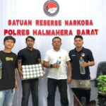 IMG-20250311-WA0004