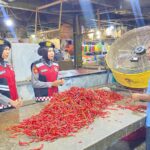 b407b931-a637-4336-bcc9-dfa70d6796d6