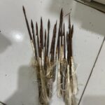 cee69878-d030-4058-be72-a5248c93fe4d