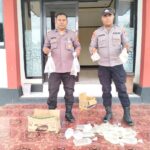 0c2faecb-f670-4264-a642-dcf3e5bda236