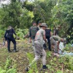 3caefdc8-0e4f-4a4c-bd34-e404b44cb031