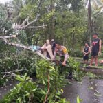 76958665-8d42-4640-bc4e-f14807c6e23d