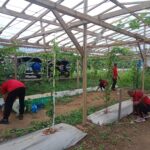 8f3ac178-c1c2-43e3-b479-6a31ed290b0c