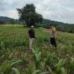 ebe25a0f-0553-474c-bf54-f5b858de3ffc