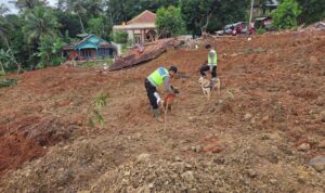 386a7156-f551-408f-96d6-6badb14629f8