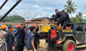 ab0bc900-8a49-40aa-b247-f65ce44070a1