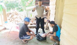 be5d2147-bfbe-4b9a-a2bb-f9eef14a9858