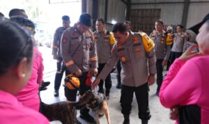 6cc29d73-9f37-4c35-aedb-6f342bd49805