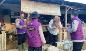 bcccba84-4d70-47eb-b1db-c48726286e1a