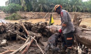 e008c3a3-6bc2-467a-97ec-55e75db543b5