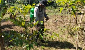 66b568c9-1420-470b-9eb4-988ce65c74f4