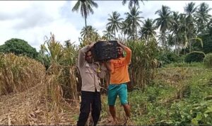 e0475f77-1854-4708-96a7-428151784bb6