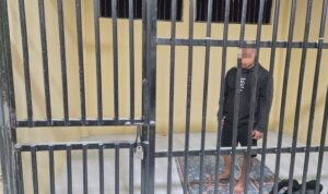 e4cb7c3a-97a4-4525-937f-187ad53f0101