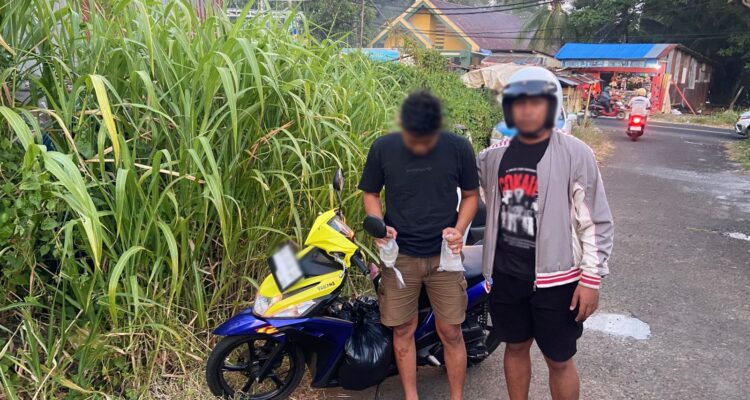 663eba3d-0e44-4360-a394-959ab28c710a